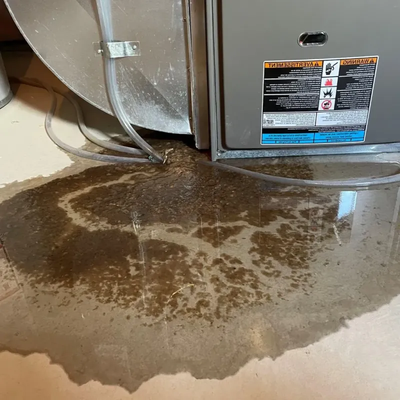 Pipe Burst and Leak Restoration in Chittenden County, VT